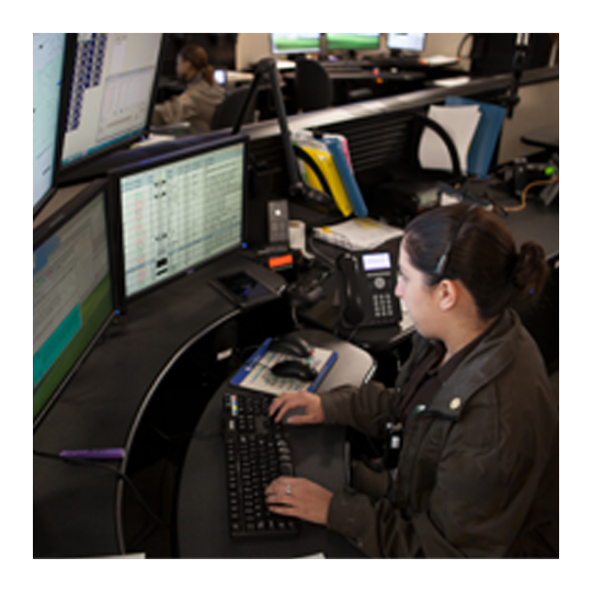 Person looking at computer screen to conduct cloud security monitoring.